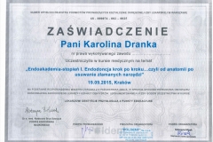 Certyfikat - Stomatolog Karolina Dranka - Endodoncja