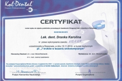 Certyfikat - Lekarz dentysta Karolina Dranka - 7 kroków w leczeniu endodontycznym